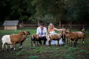 12274471_907980882588351_2637395586481324715_n