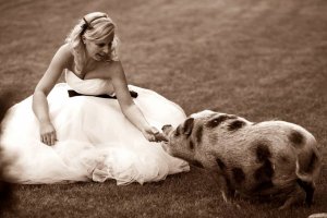 12321564_907980812588358_2394252458538499154_n